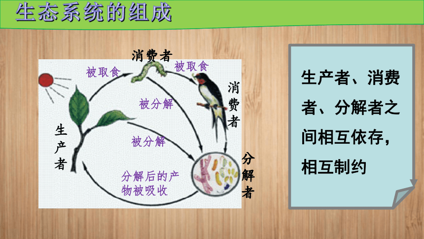 初中生物人教版（新课程标准）七年级上册1.2.2生物与环境组成生态系统课件（30张PPT）