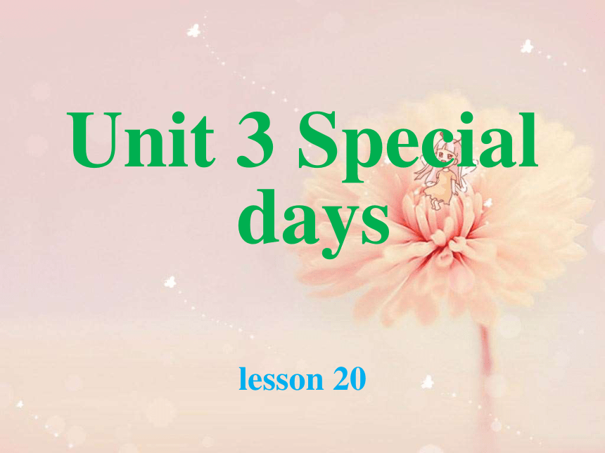 Unit 3 Special days Lesson 20 课件