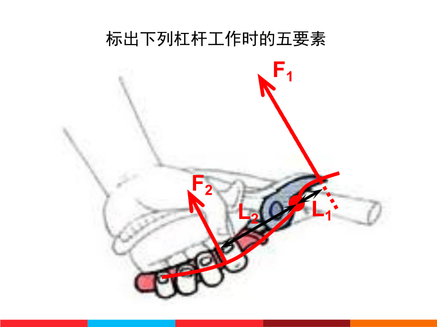 10.1 科学探究 杠杆平衡条件 课件 （共27张PPT）