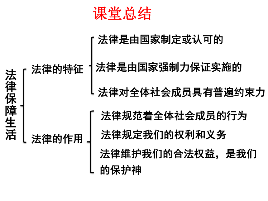 9.2 法律保障生活 复习课件(25张PPT)