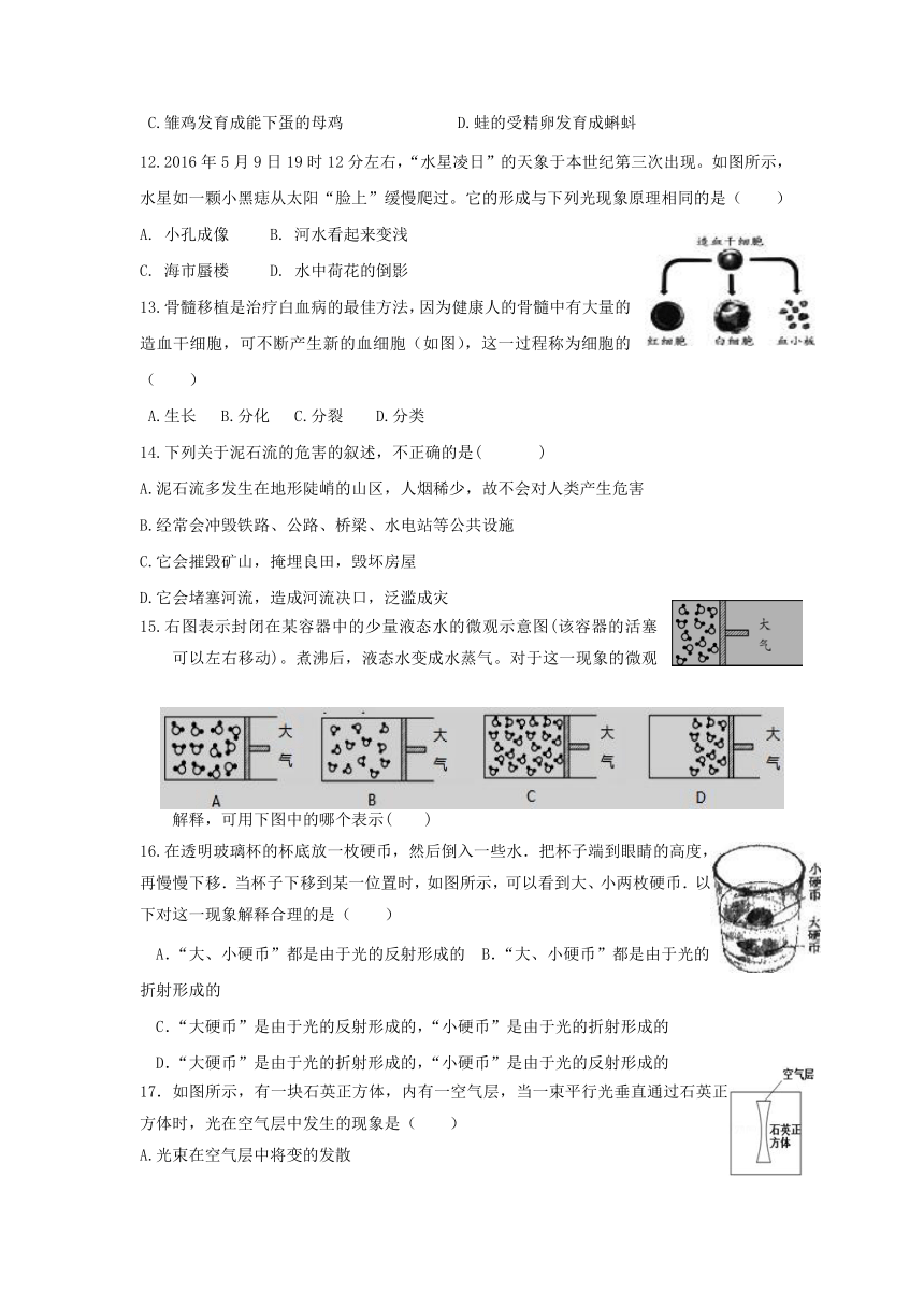 浙江省杭州市大江东2016-2017学年七年级下学期期中考试科学试卷（到第2章结束）