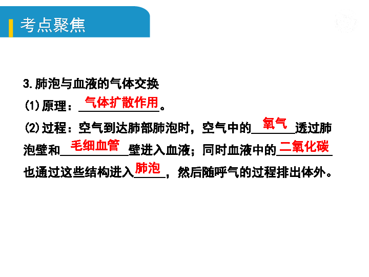 2020年中考生物基础知识复习：五、生物圈中的人（二）人体生命活动的能量供给(21张ppt)