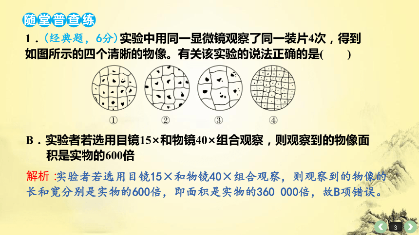 高中生物专题训练讲解5： 细胞学说的建立、真核细胞和原核细胞的比较