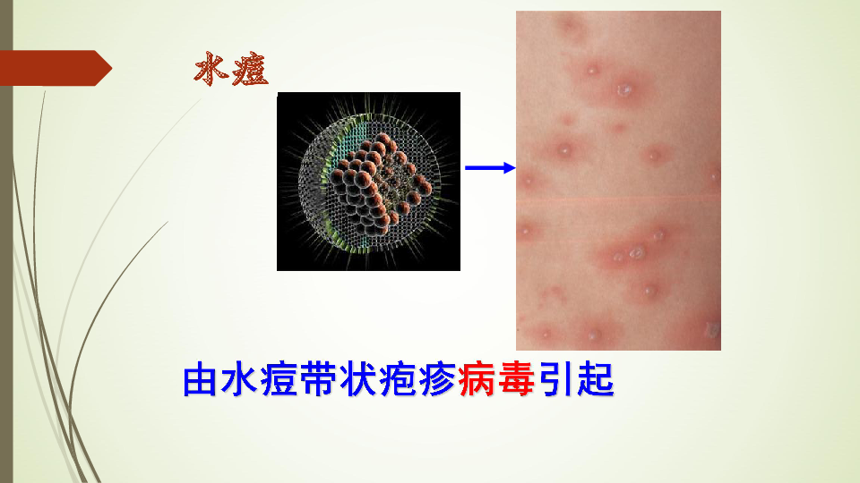 人教版八下8.1第一节传染病及其预防课件 （27张ppt)