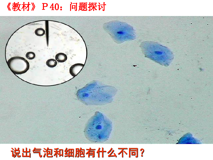 人教版高一生物必修一3．1 细胞膜——系统的边界课件32PPT