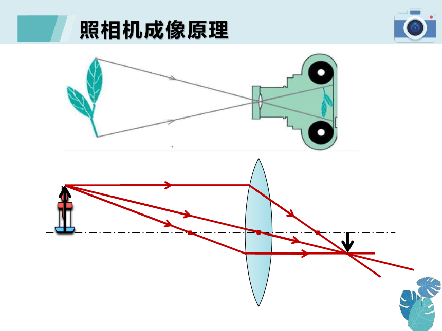 52生活中的透镜课件20212022学年人教版物理八年级上册共40张ppt