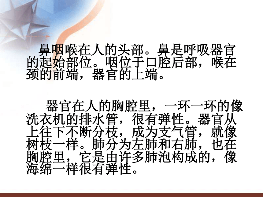 《有趣的呼吸器官》课件1