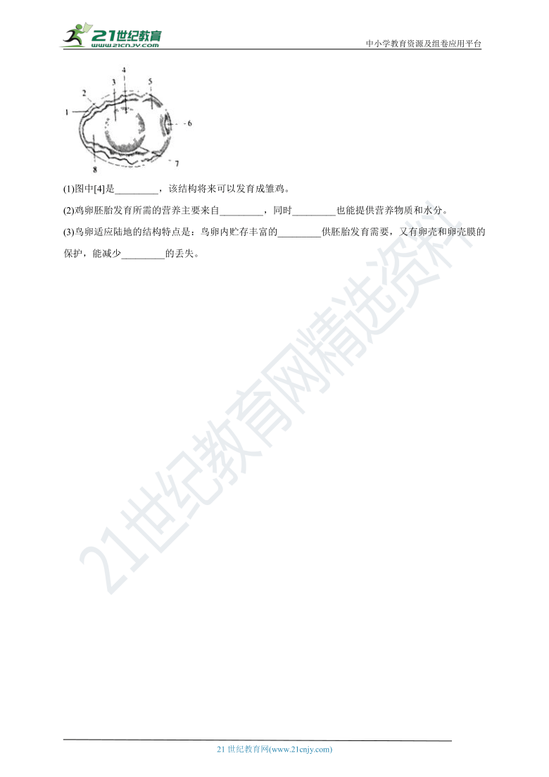 苏教版2020-2021学年度八年级生物下册寒假专题测试（5）鸟类的生殖与发育（含解析）