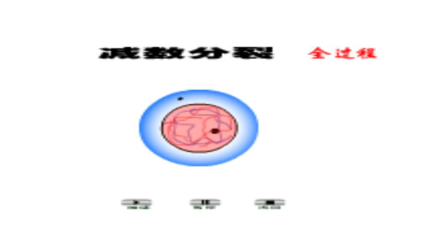湖南省茶陵县第三中学人教版高中生物必修二 2.1减数分裂和受精作用 课件 (共57张PPT)