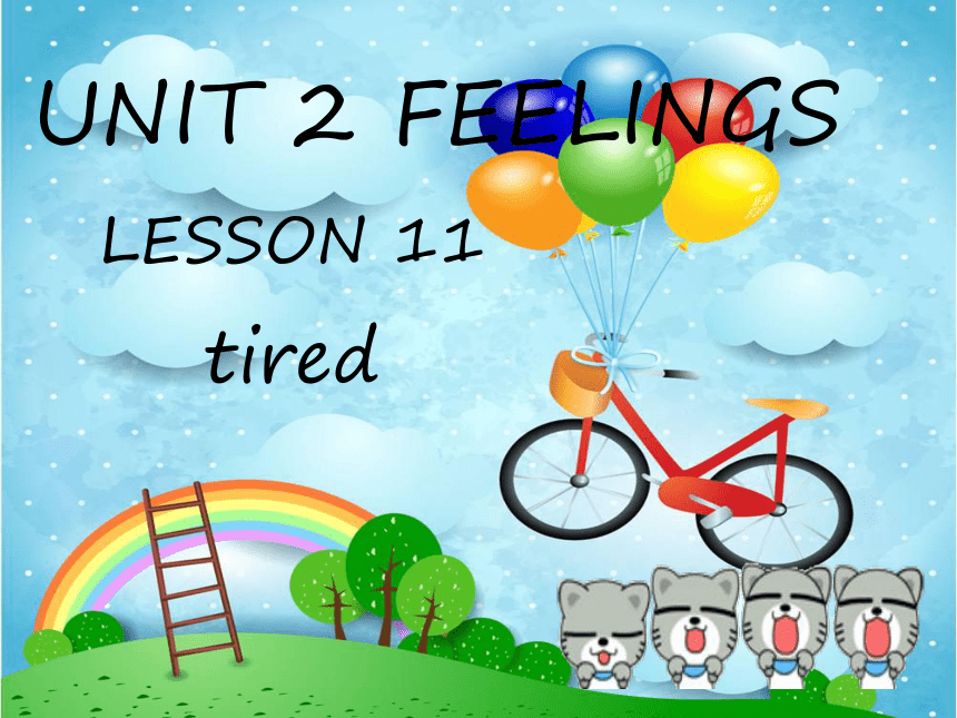 Unit 2 Feelings Lesson 11 课件