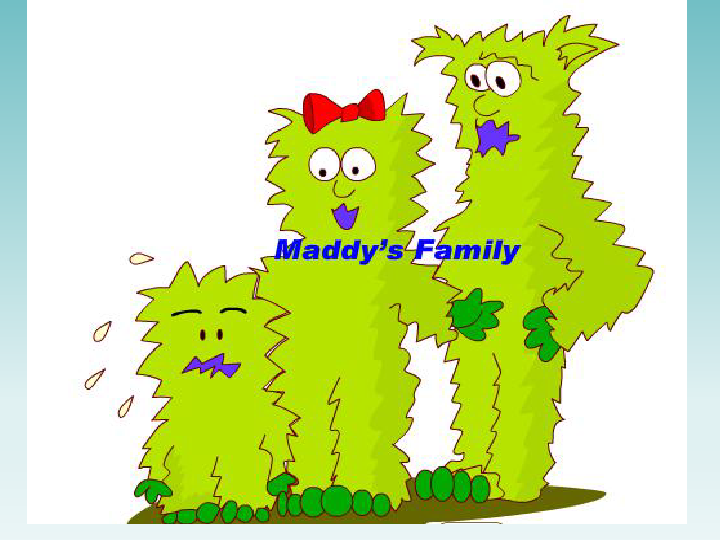 Lesson 6 Maddy’s Famliy  课件 （17张PPT）