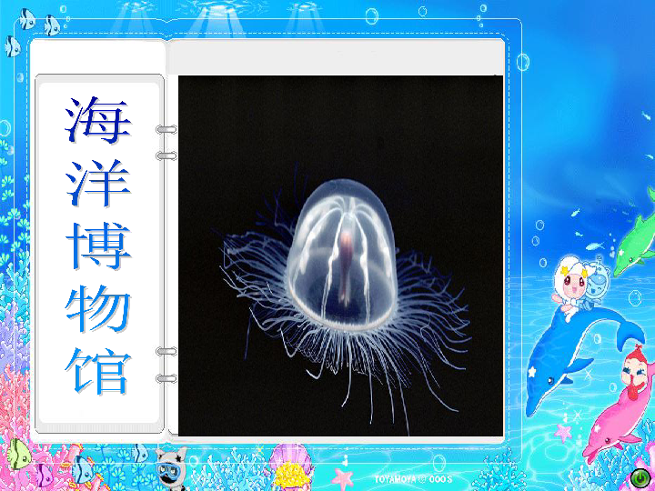 8做做海洋生物 课件（30张幻灯片）