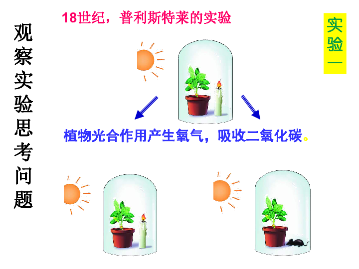 苏教版生物七上3.7.2 绿色植物与生物圈的物质循环   课件(共33张PPT)