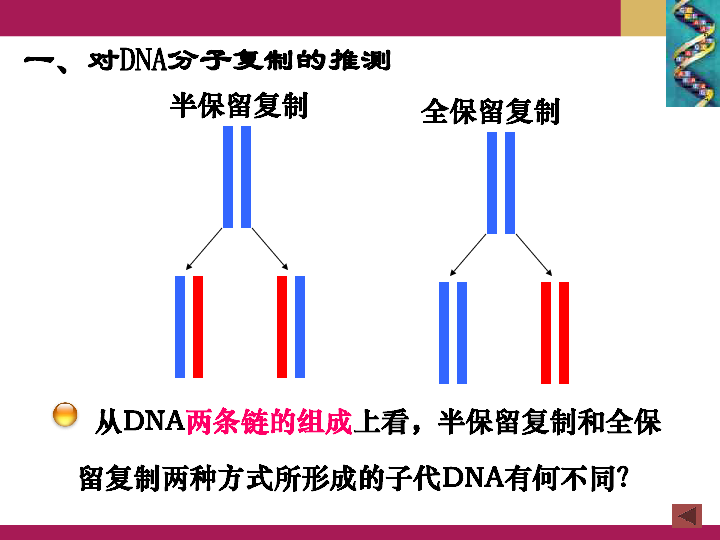 人教版高中生物必修2-3．3DNA的复制（共26张PPT）