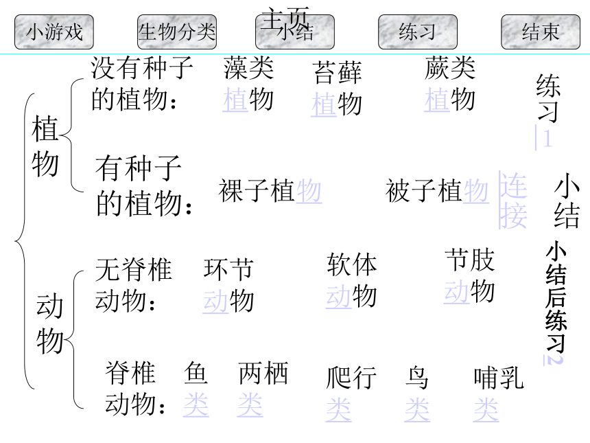 人教版八年级生物下册 尝试对生物进行分类（42PPT）