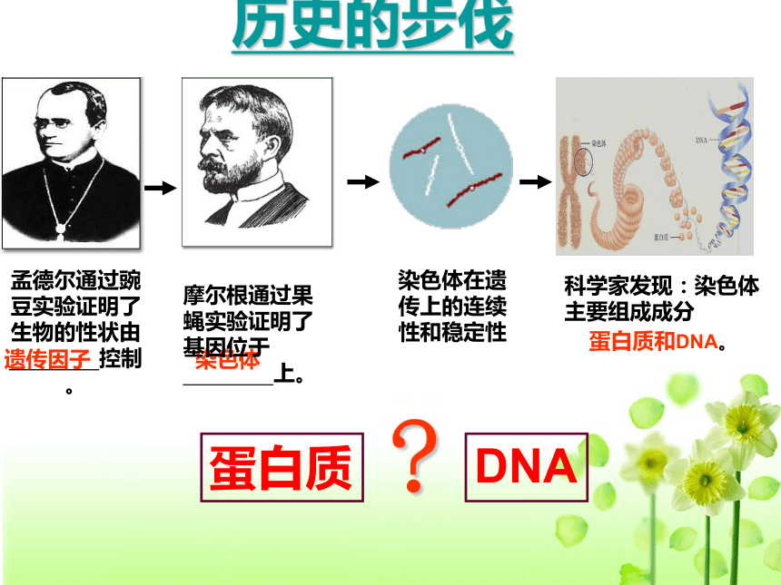 人教版必修二第三章第1节DNA是主要的遗传物质（共38张PPT）