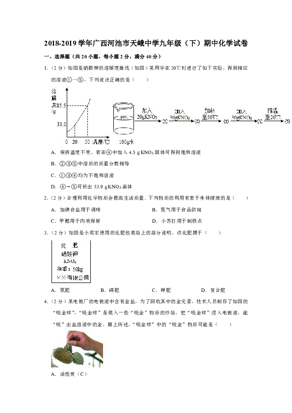 2018-2019学年广西河池市天峨中学九年级（下）期中化学试卷（解析版）