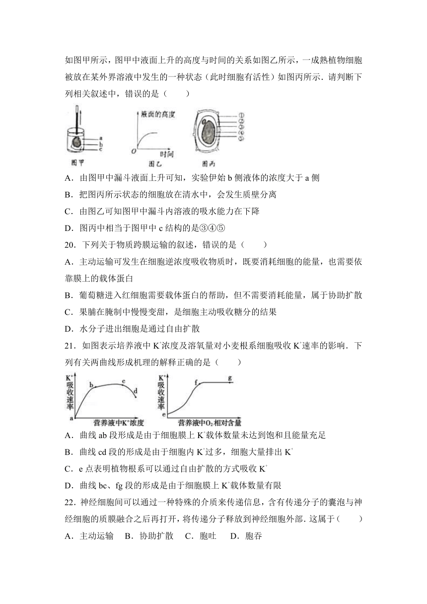 吉林省白山市2016-2017学年高一（上）期末生物试卷（解析版）