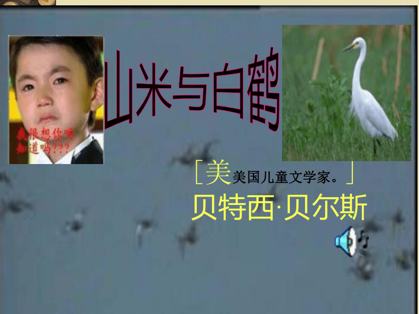 《山米与白鹤》课件