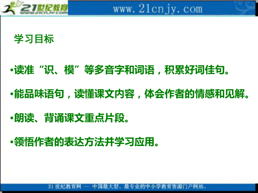 六年级语文下册课件 城市的标志 1（北京版）