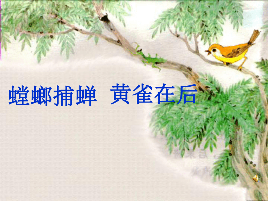 语文六年级下沪教版(五四学制)7.30《螳螂捕蝉》课件