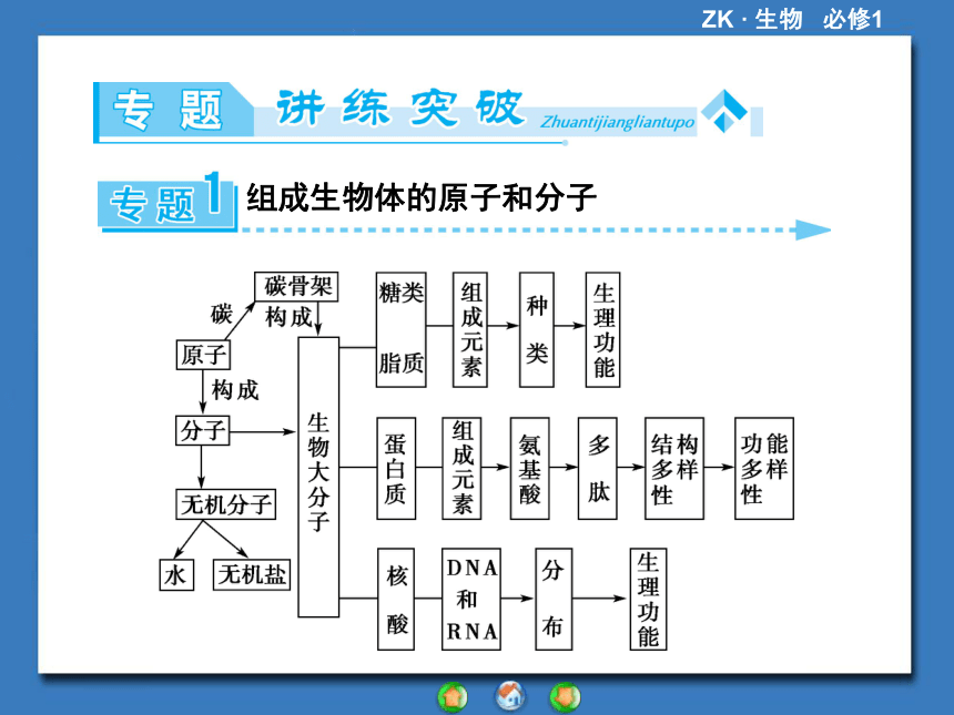 【课堂新坐标，同步备课参考】2013-2014学年高中生物（浙科版）必修1课件：章末归纳提升1第1章 细胞的分子组成（共38张PPT）