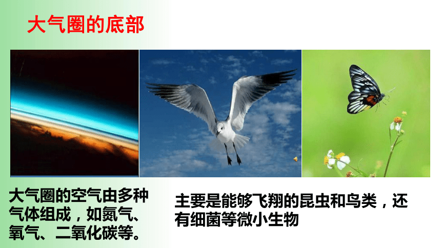 2021——2022学年人教版七年级生物上册1.2.3 生物圈是最大的生态系统 课件（21张PPT）