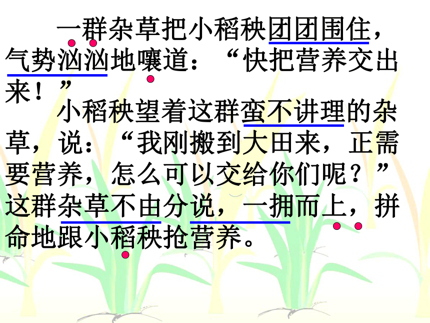 《小稻秧脱险记》课件