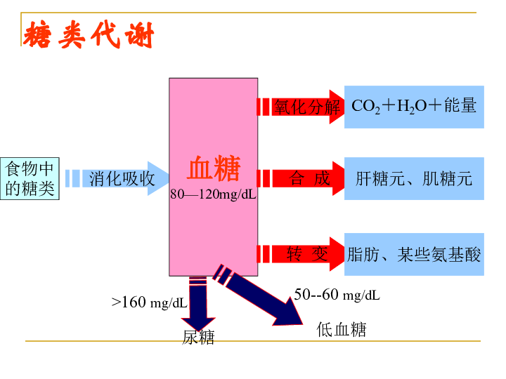 糖类物质的代谢[上学期]下载