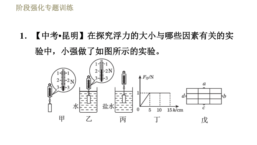 沪粤版八年级下册物理习题课件 第9章 阶段强化专题训练（五）  专训2  浮力的探究（22张）