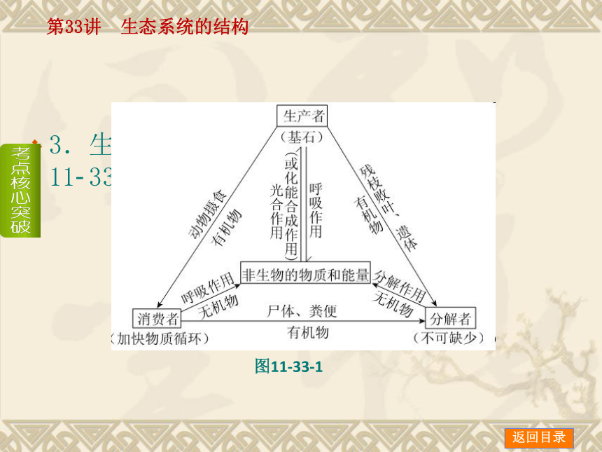 【新课标人教通用，一轮基础查漏补缺】第33讲　生态系统的结构 （46ppt）