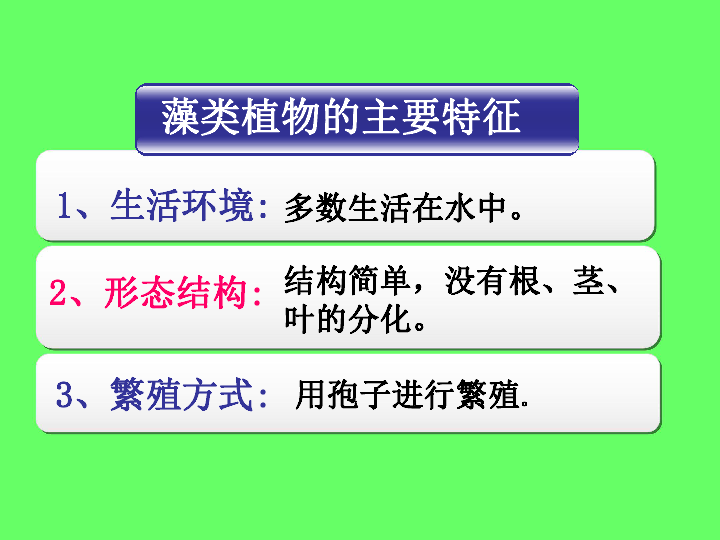 第三单元《生物圈中的绿色植物》第一章生物圈有哪些绿色植物复习课  课件（共20张PPT）