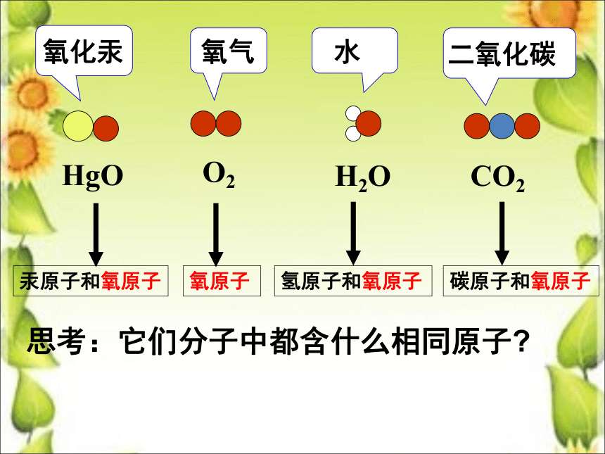 第2节 组成物质的化学元素 课件（26张PPT）