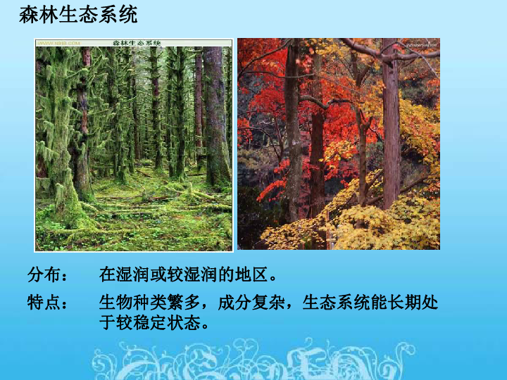 苏教版八上生物 20.1 生物圈中的各种生态系统 课件（31张PPT）