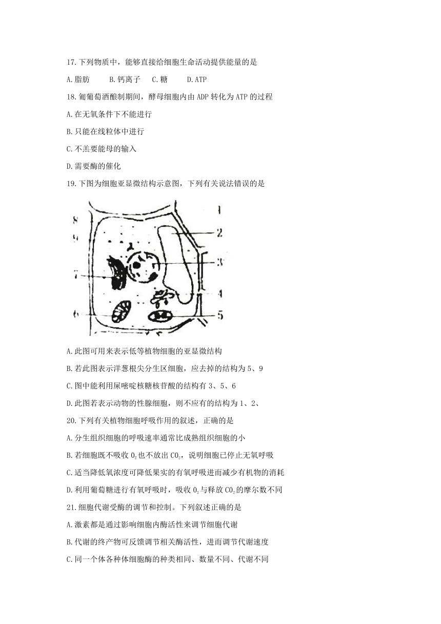 宁夏六盘山高级中学2018届高三上学期期中考试生物试题