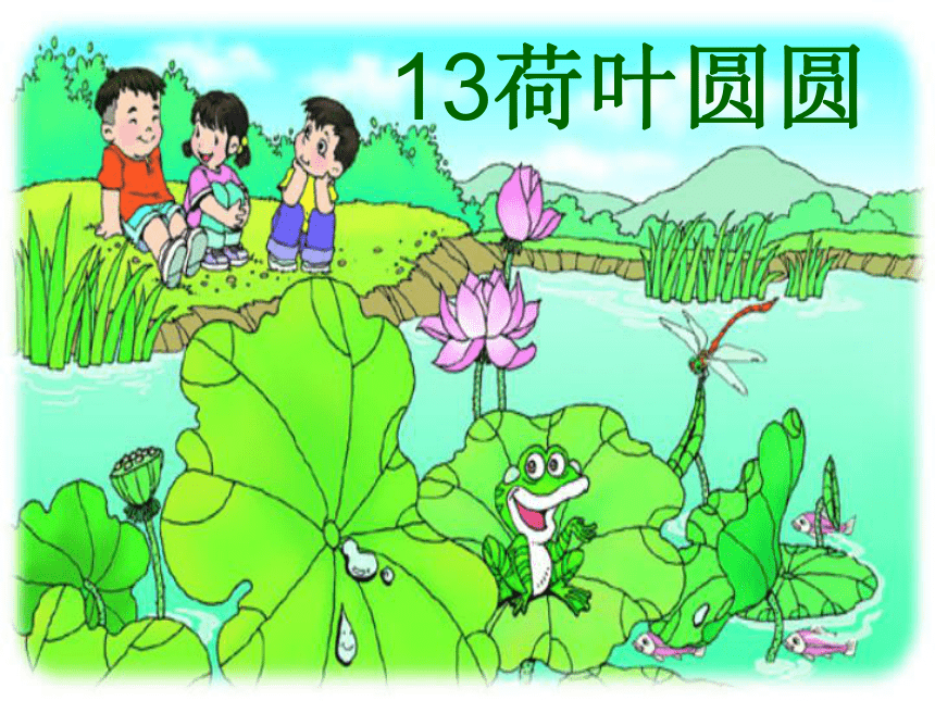 13 荷叶圆圆 课件