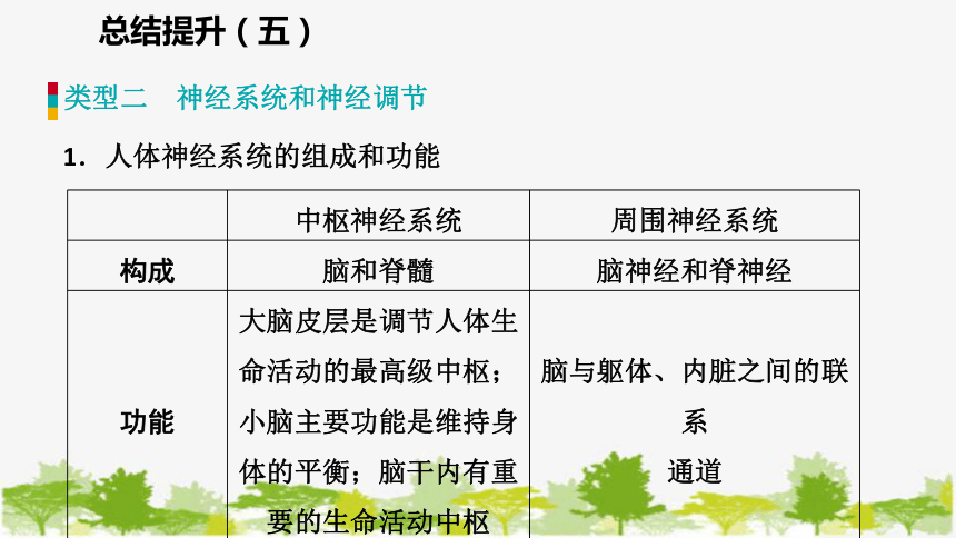 苏教版七年级生物下册 第十三章  人是生物圈中的一员   小结与复习课件(共38张PPT)