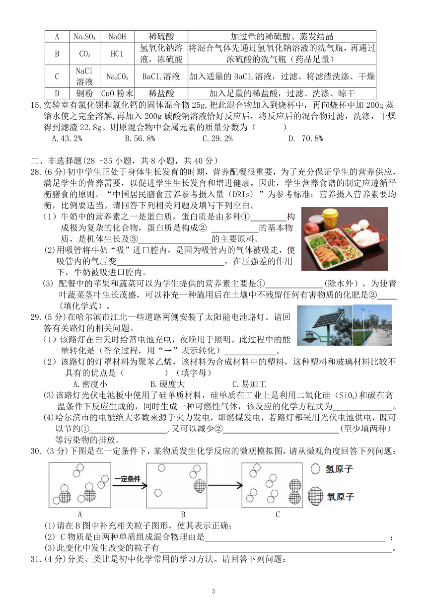 黑龙江省哈尔滨市南岗区2017年中考二模化学试卷（含答案）