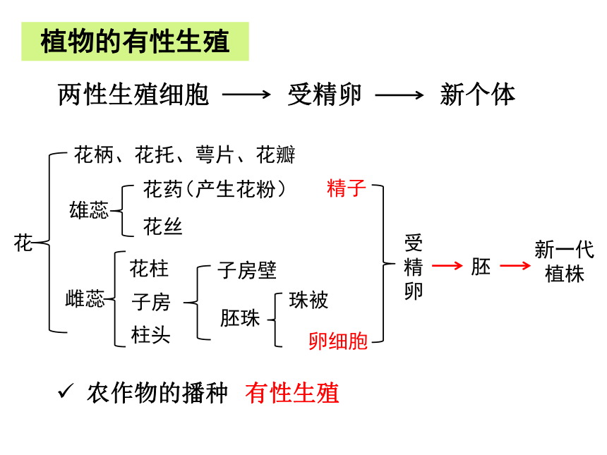 20202021学年人教版八年级下册生物第七单元第一章生物的生殖和发育育