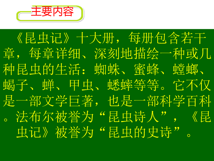 课件预览