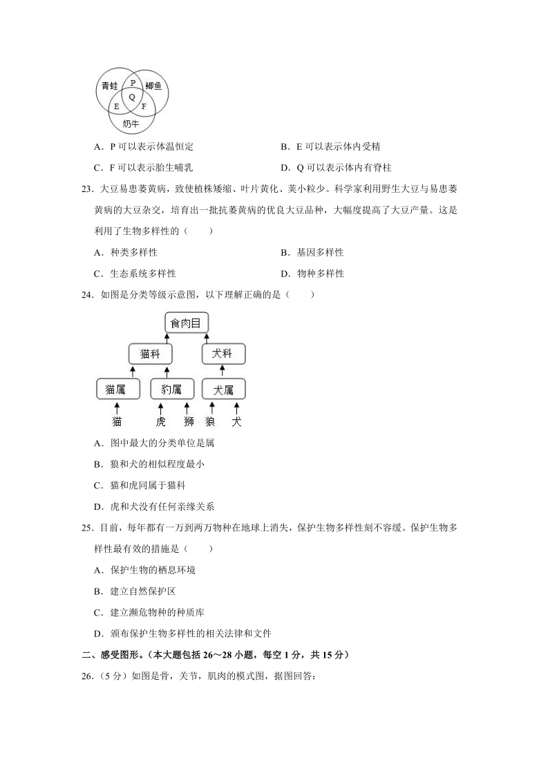 2020-2021学年湖南省邵阳市绥宁县八年级（上）期末生物试卷（word版含解析）