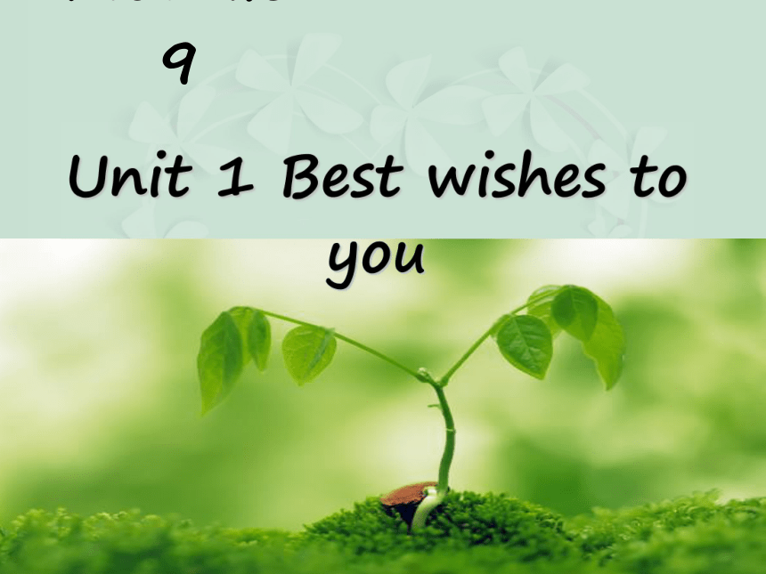 Unit 1 Best wishes to you! 课件