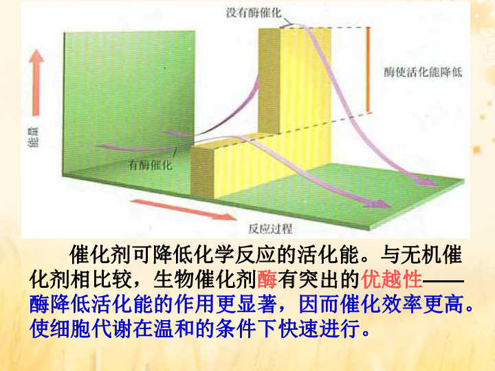 高中生物第4章酶的研究与应用4.1果胶酶在果汁生产中的应用课件 新人教版选修1（29张ppt）