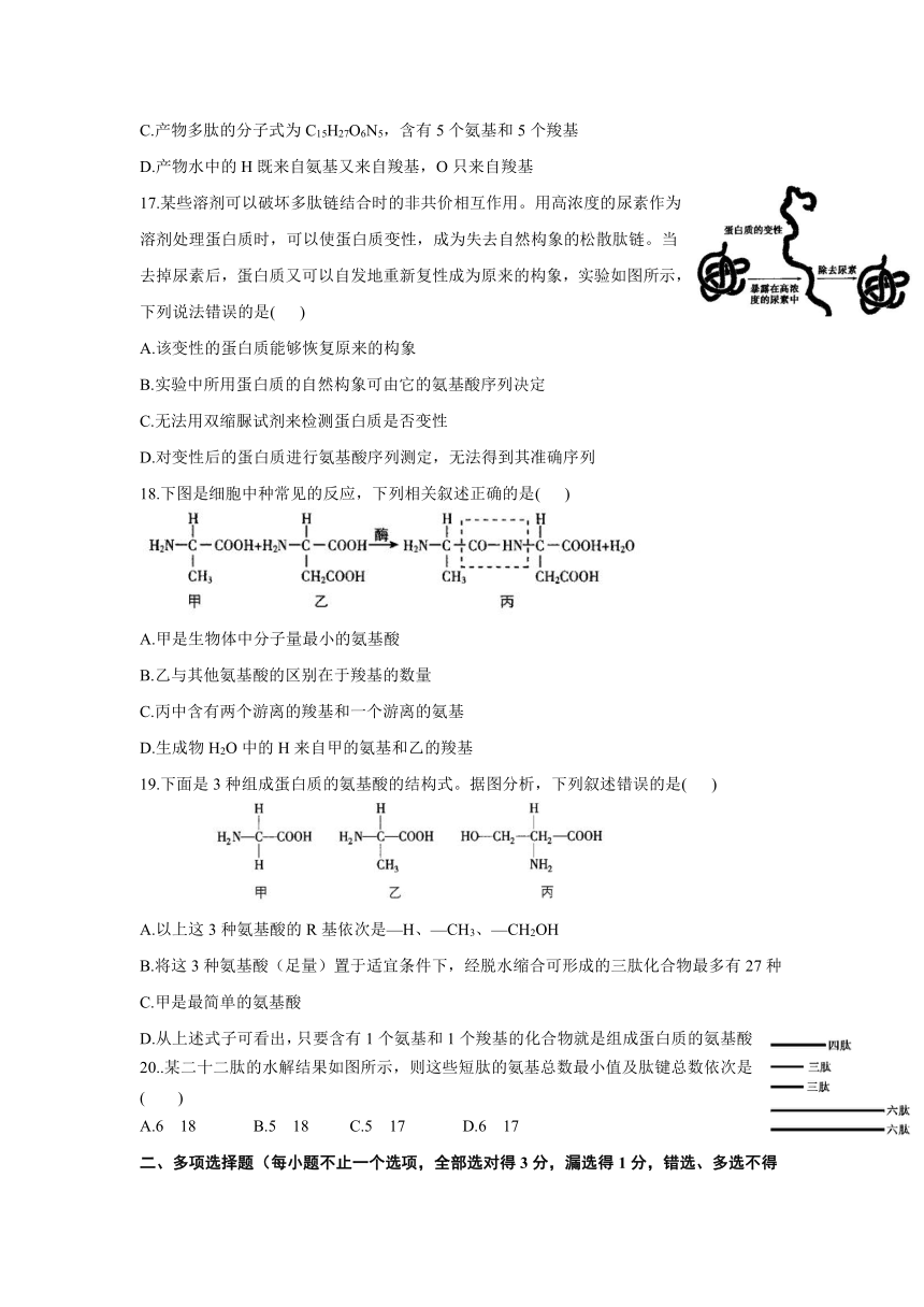 贵州省六盘水外国语高级中学2021-2022学年高一上学期第二次月考生物试卷（Word版含答案）