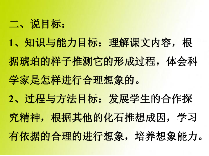 综合复习6 琥珀 说课 课件（25张PPT）