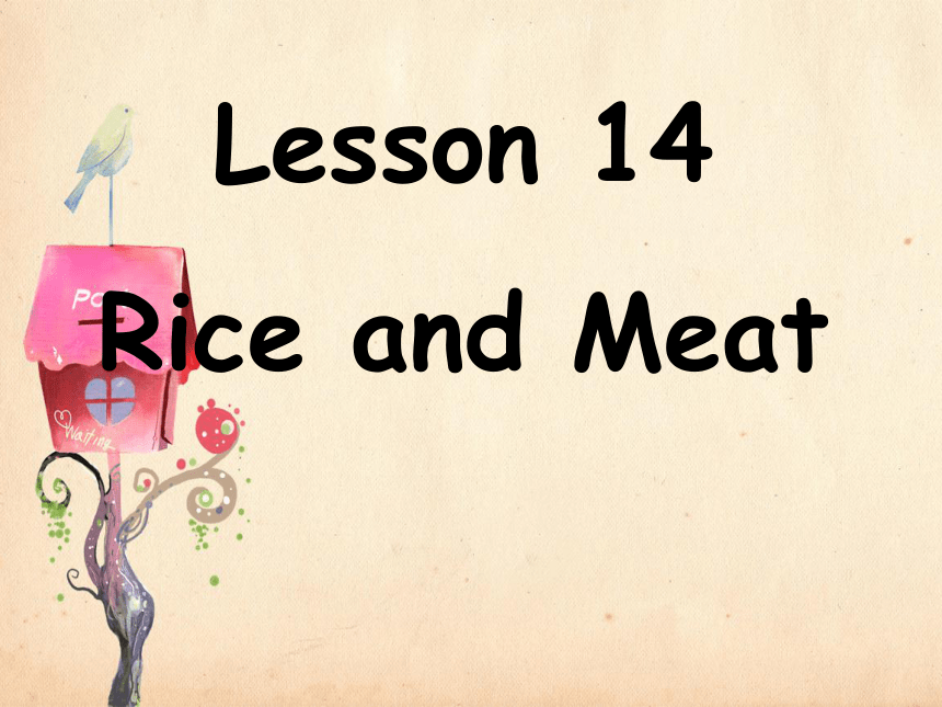 Lesson 14 Rice and meat 课件