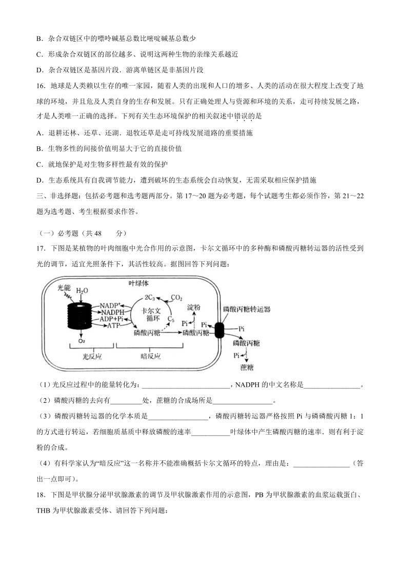 广东省汕头市2021届高三下学期普通高考第一次模拟考试生物试题 word