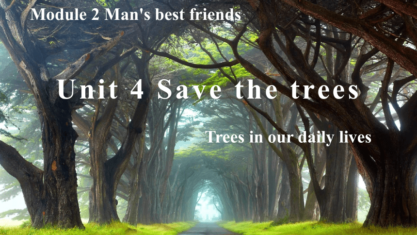 牛津深圳版 七下 Unit 4 Save the trees Reading 课件（28张，内嵌音频）