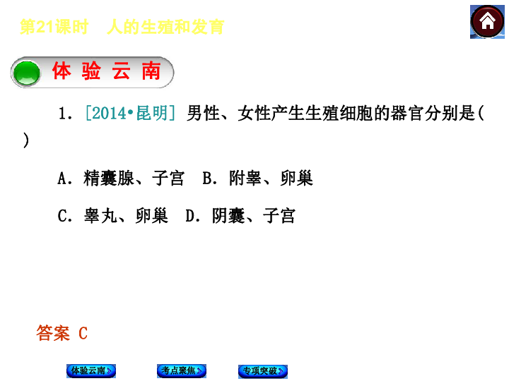 生物中考總複習課件(體驗雲南 考點聚焦 專項突破)第21課時 人的生殖