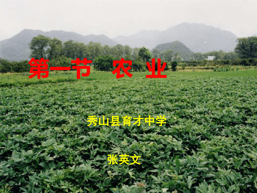 第一节 农业(重庆市秀山土家族苗族自治县)